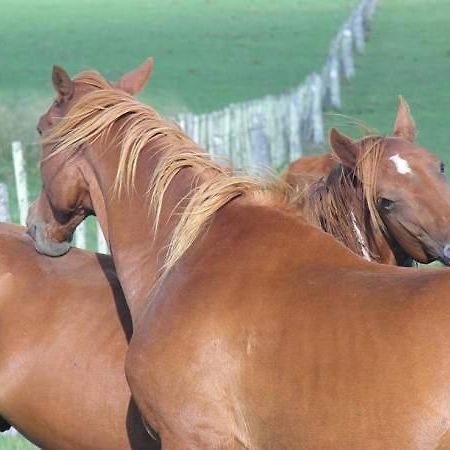 Estancia Hosteria El Ceibo Флорида Екстер'єр фото