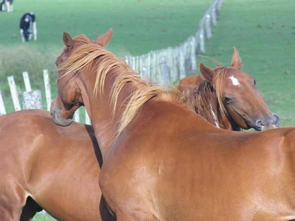 Estancia Hosteria El Ceibo Флорида Екстер'єр фото
