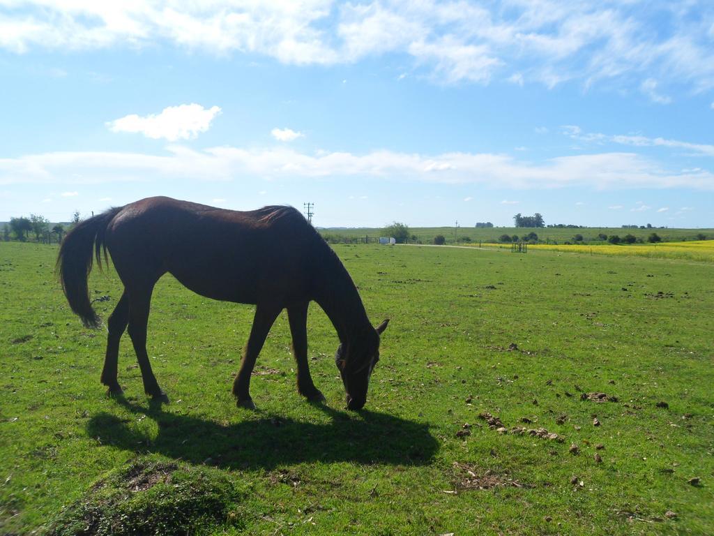 Estancia Hosteria El Ceibo Флорида Екстер'єр фото