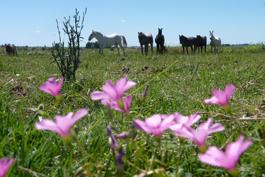 Estancia Hosteria El Ceibo Флорида Екстер'єр фото